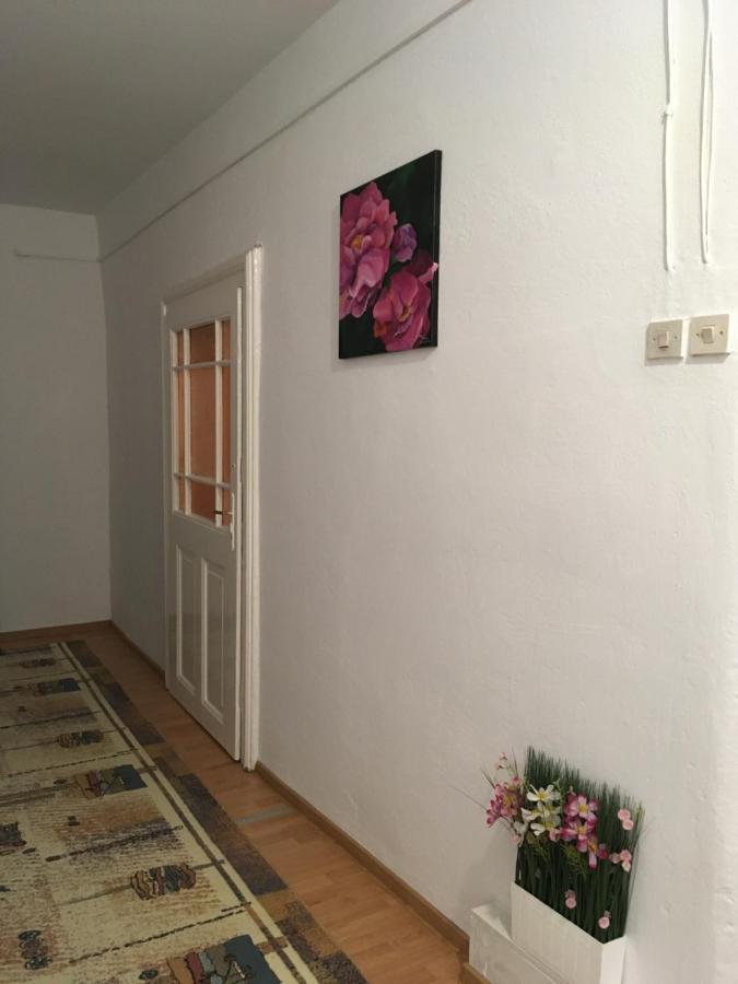 House Centrul Istoric Ll Lejlighed Sibiu Eksteriør billede